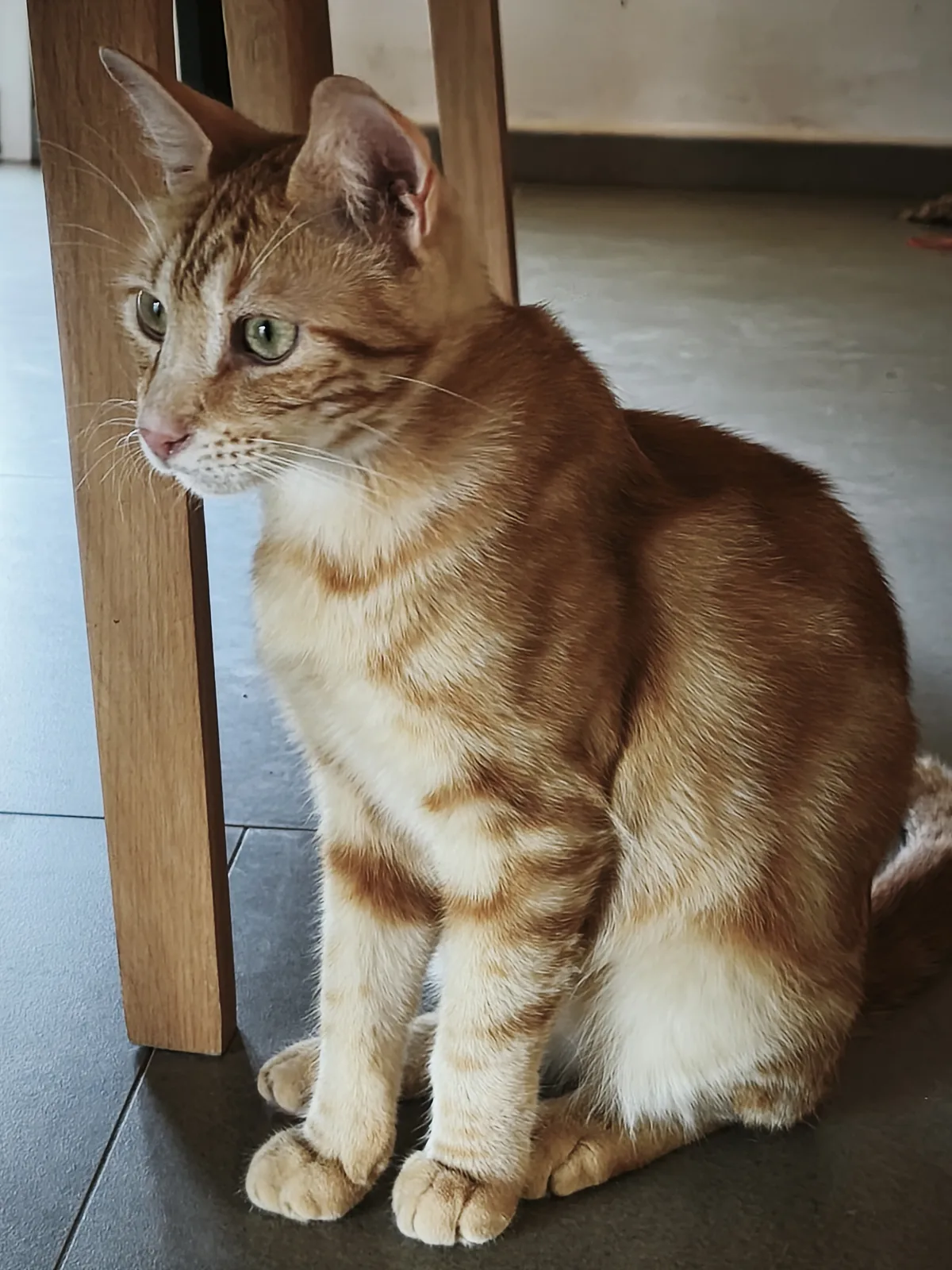 Jaimy