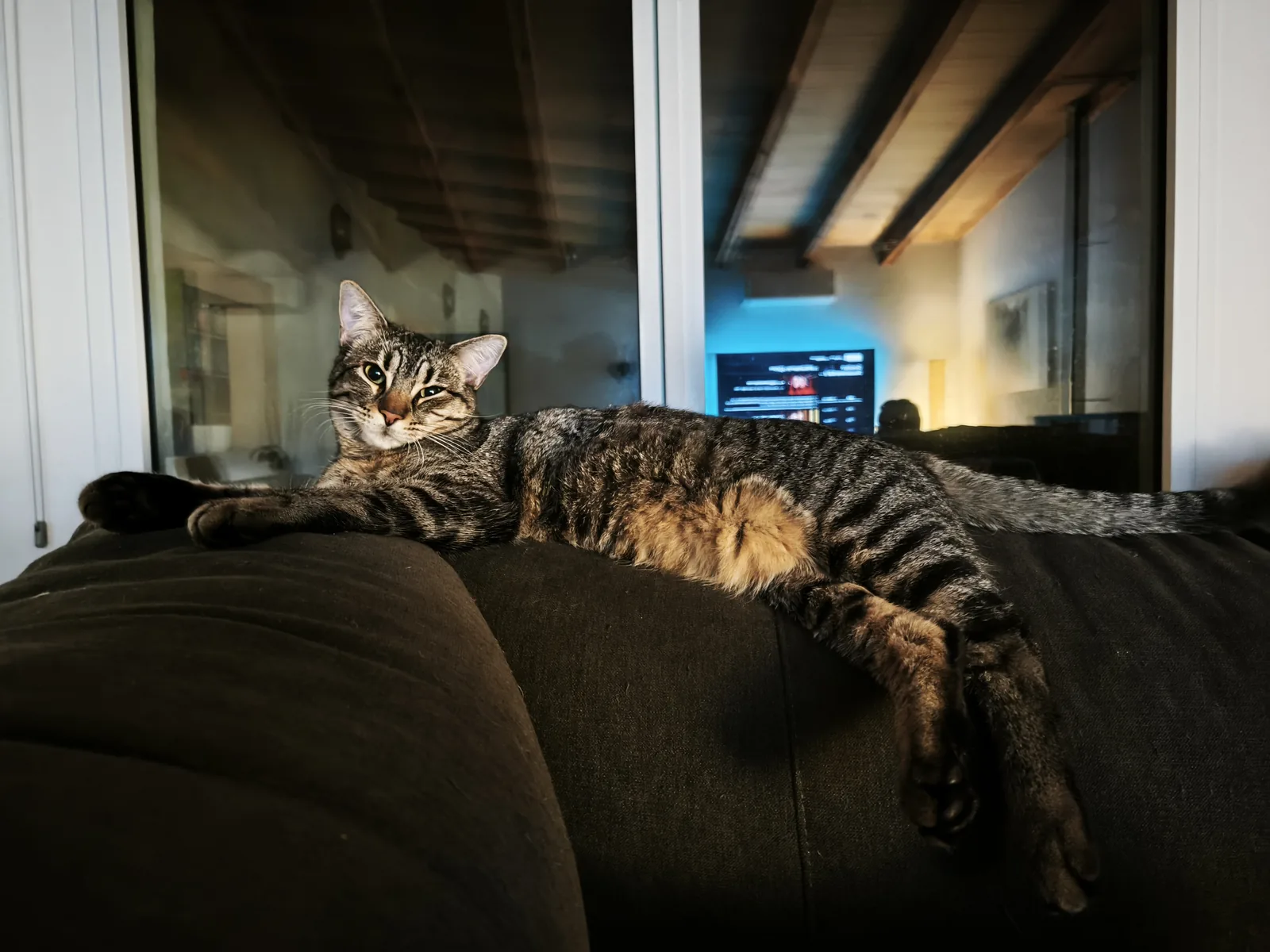 Oreo