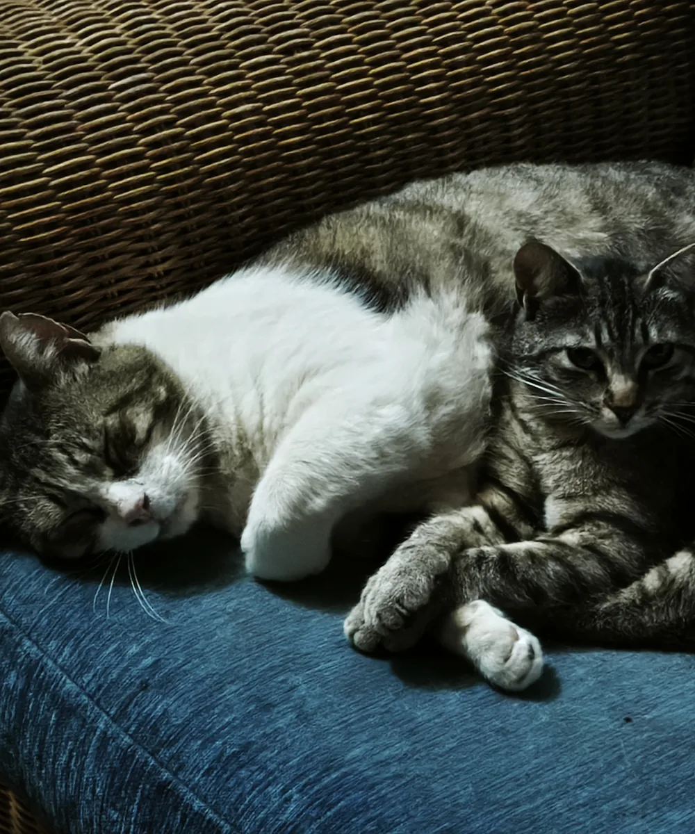 Carlos und Emma nebeneinander auf dem Sofa